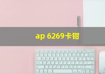 ap 6269卡钳